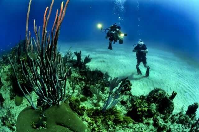 divers scuba reef underwater 37542 1 - Entertaining The Whole Family On Sporting Holidays