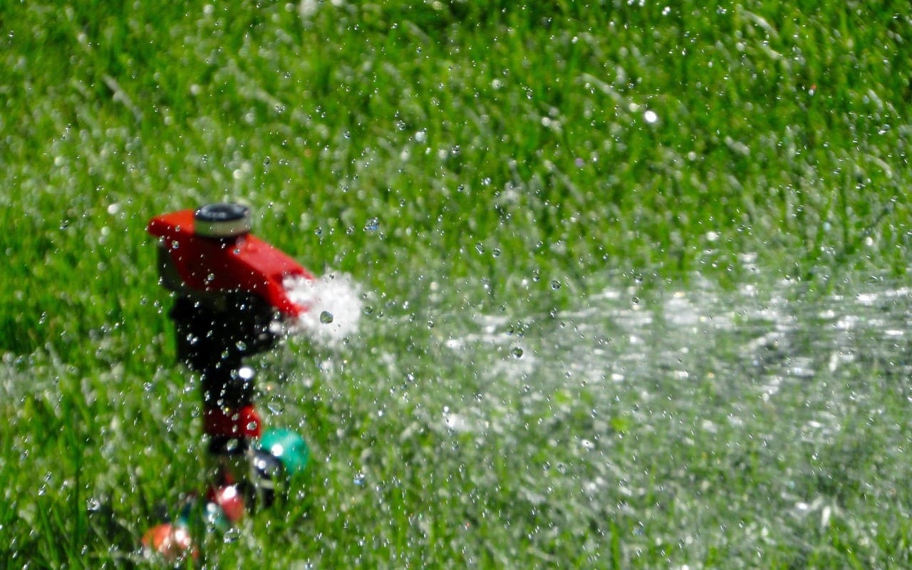 Water-Saving Lawn Care During A Heatwave
