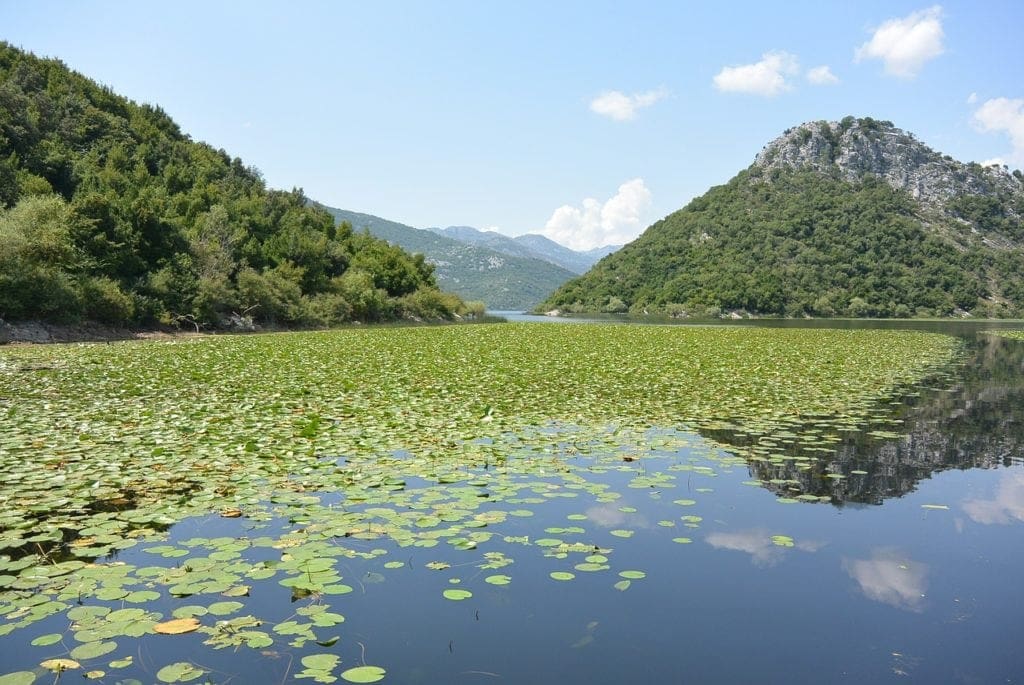 Lake Skadar 1024x685 - List Of The Best Places To Visit In Montenegro