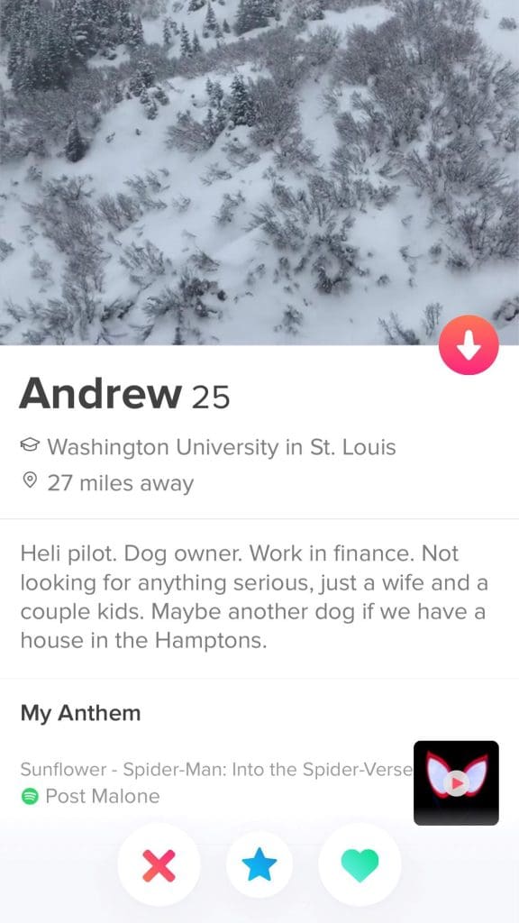 Andrew tinder profile