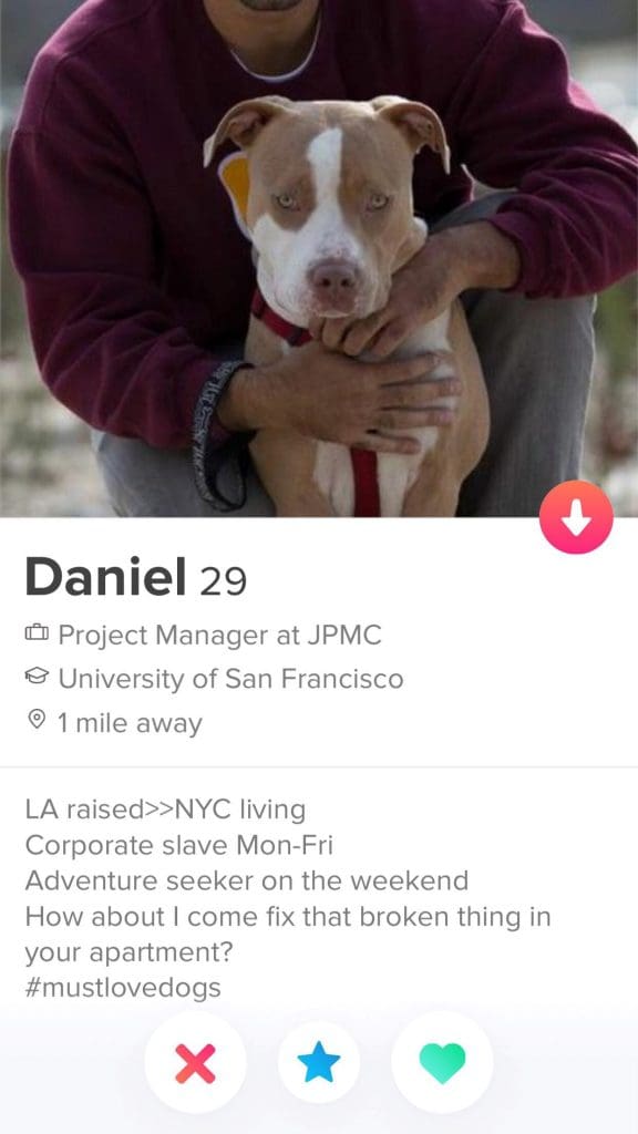 Ironic dog lover 576x1024 - 10 Best Tinder Bio Examples for Guys (To Make Her Swipe Right)