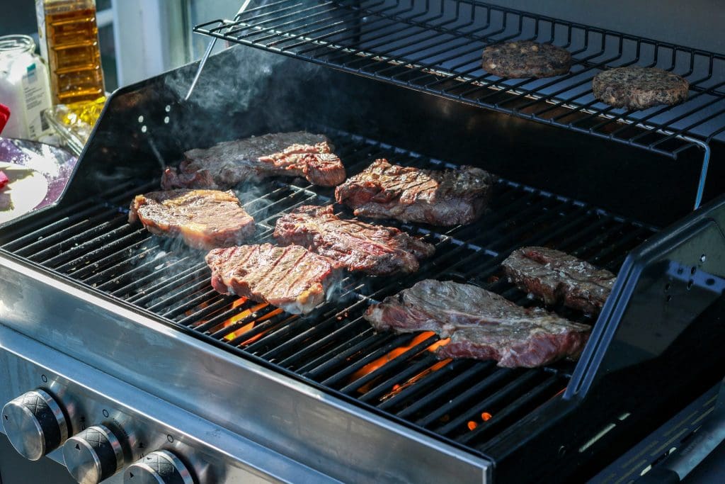 Tips for Choosing the Best Grill 1024x683 - Tips for Choosing the Best Grill for Your Needs