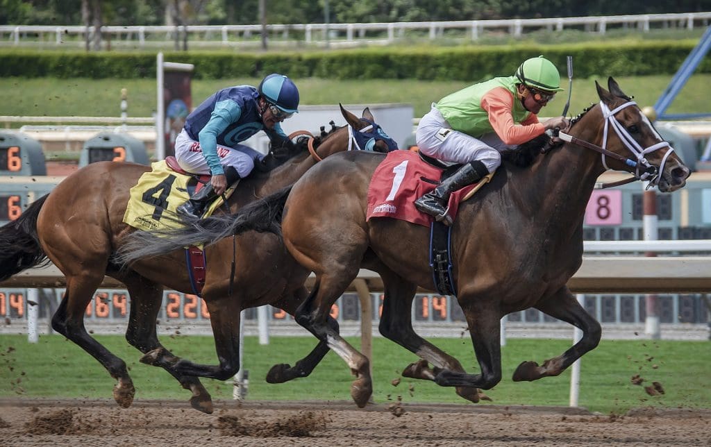 Horse Racing 1024x644 - Why Is Horse Racing An Interesting Form of Sports?