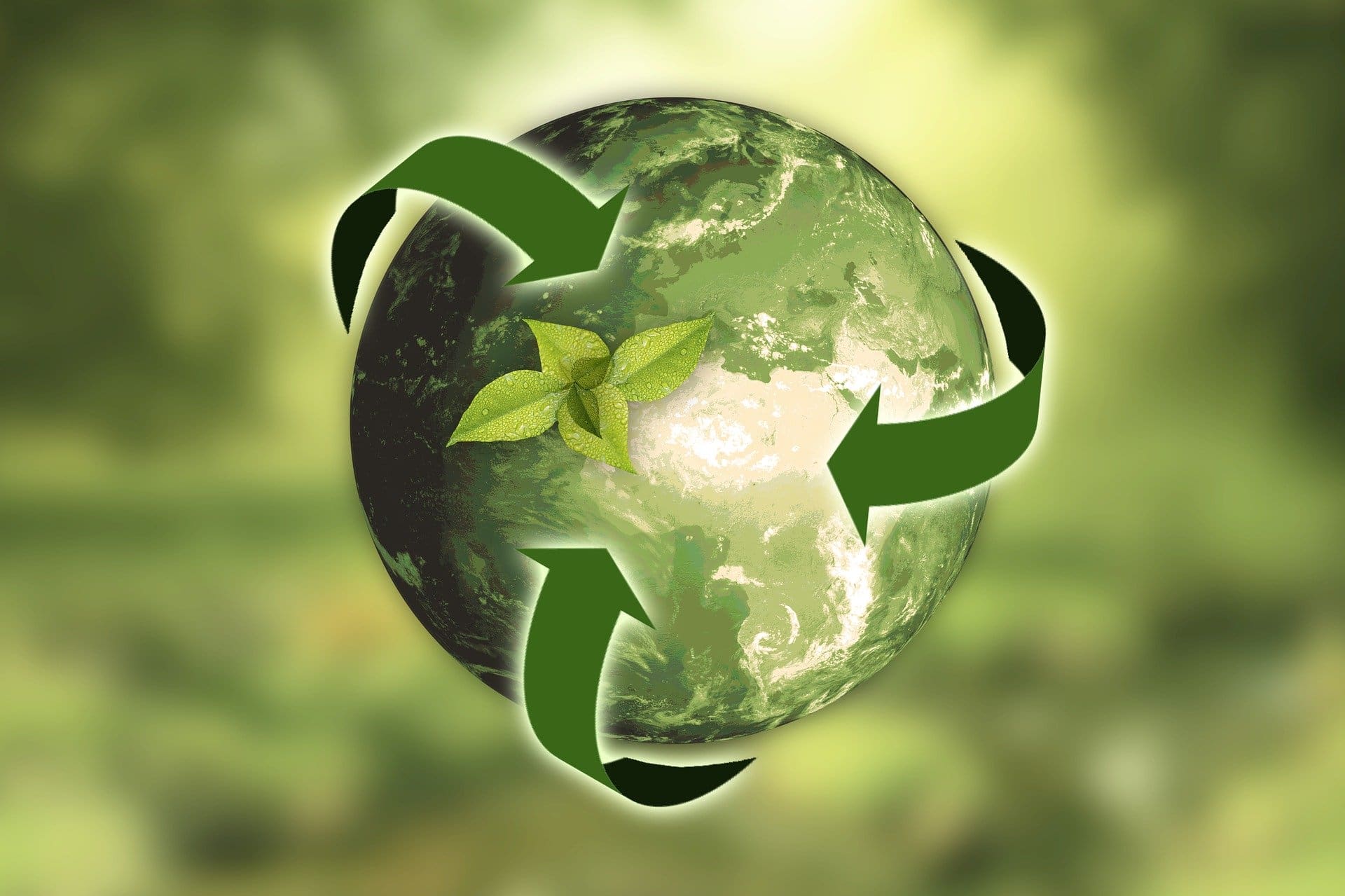 different-types-of-waste-management-solutions