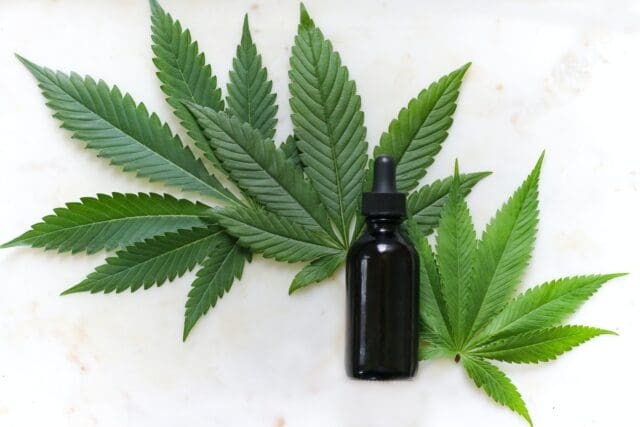 What Different CBD Products Are There and What Are Their Uses?