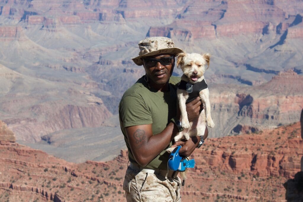 Foster a military family dog
