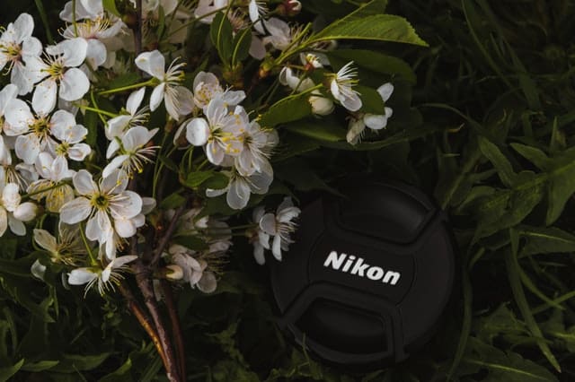 Nikon with flowers