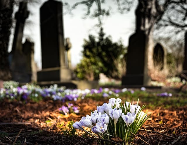 Direct Funerals - Which Service is Right for You?