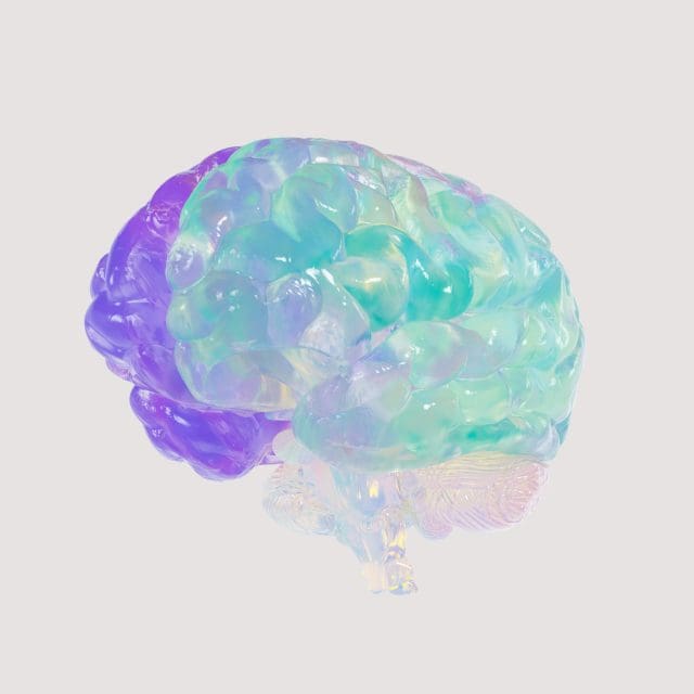 Brain Exercises Brain Exercises