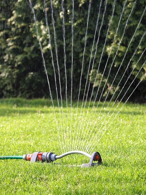 watering lawn