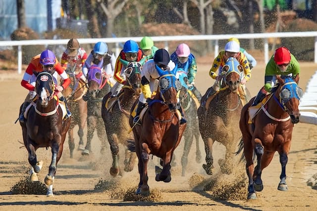 Getting to Know the Triple Crown in US Horse Racing