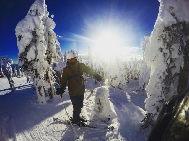 Holiday Season Holiday Season