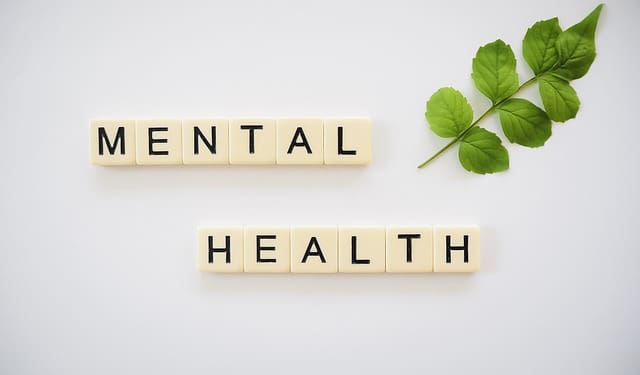 Understanding The Pros of a Mental Health-Related Career