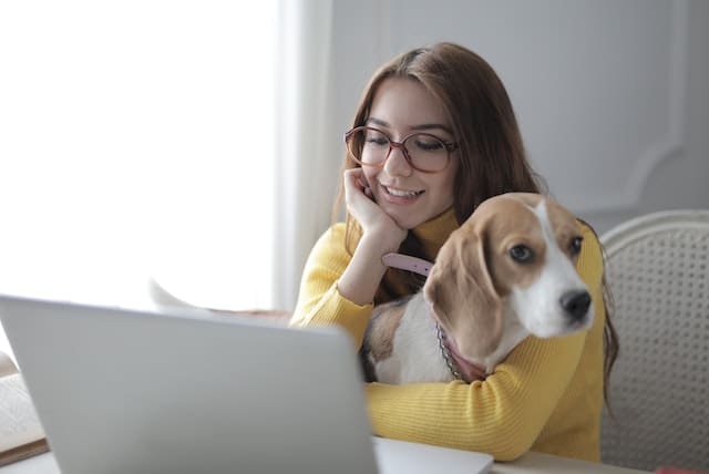Online Veterinary Education: The Future Of Animal Healthcare