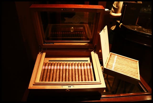 How to Preserve Your Cigars for a Fresh Smoke Every Time