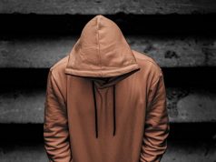 Top Trending Spider Hoodies for 2025 Spider Hoodies