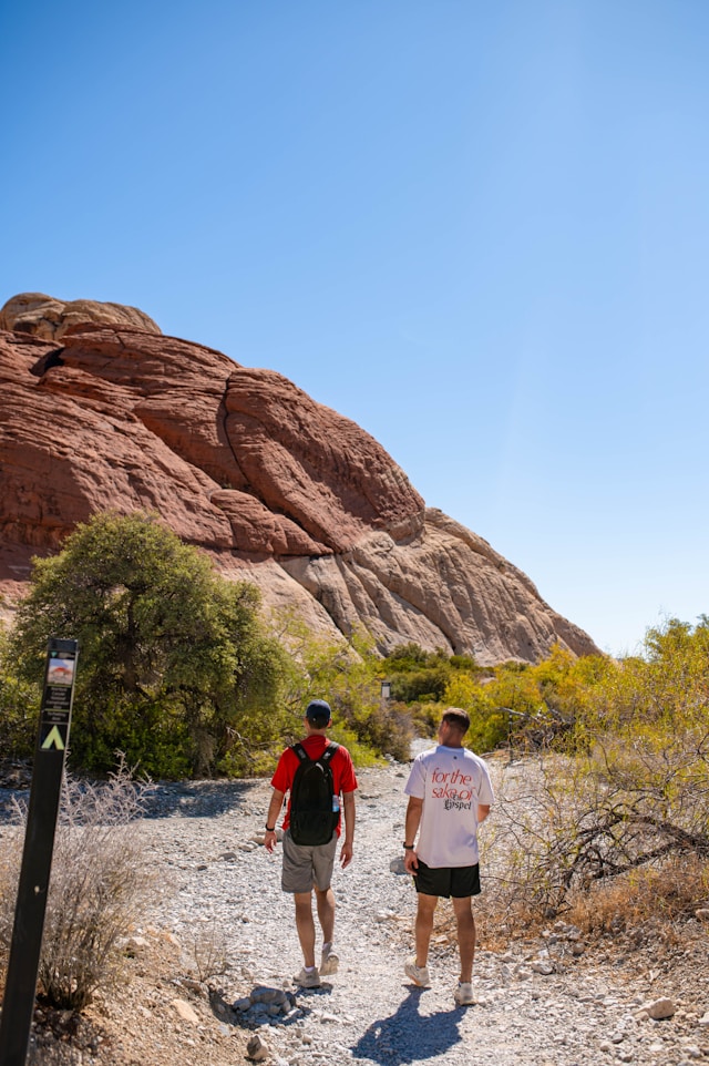 Daily Routines Daily Routines